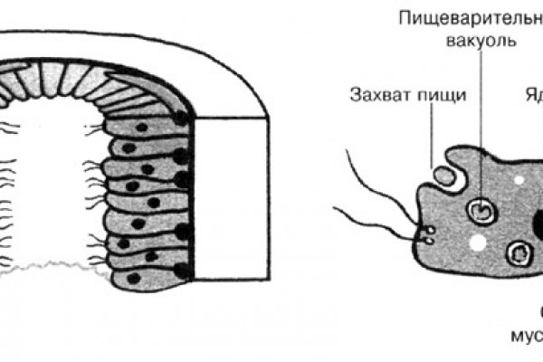 Что такое кракен в даркнете